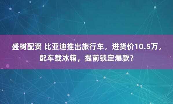 盛树配资 比亚迪推出旅行车，进货价10.5万，配车载冰箱，提前锁定爆款？
