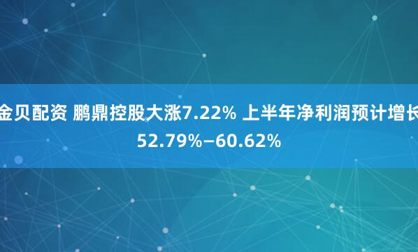 金贝配资 鹏鼎控股大涨7.22% 上半年净利润预计增长52.79%—60.62%