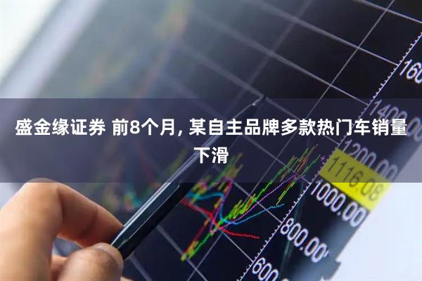 盛金缘证券 前8个月, 某自主品牌多款热门车销量下滑