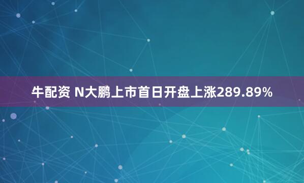 牛配资 N大鹏上市首日开盘上涨289.89%