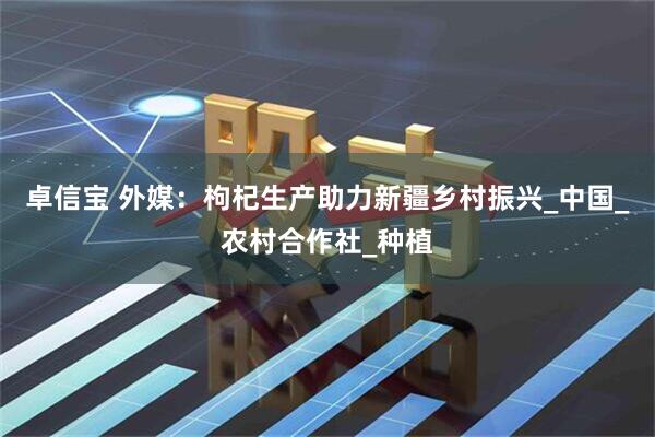 卓信宝 外媒：枸杞生产助力新疆乡村振兴_中国_农村合作社_种植