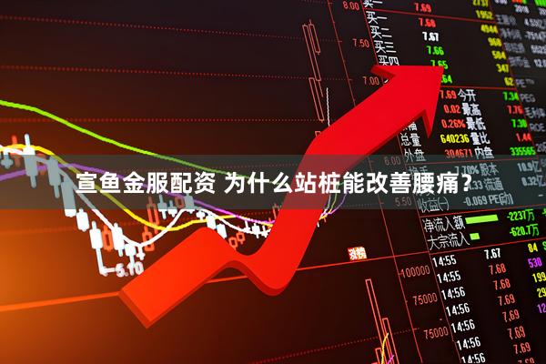 宣鱼金服配资 为什么站桩能改善腰痛？